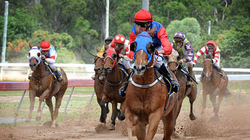 Jockey Ian Coombes heads for home in the first race at Gympie on Saturday. Jockey Ian Coombes heads for home in the first race at Gympie on Saturday.